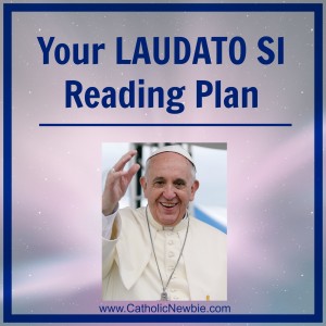 Laudato Si Reading Plan via @ACatholicNewbie