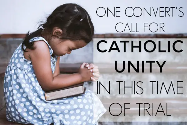 One Convert's Call for Catholics to Unify Instead of Divide in This ...